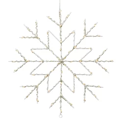 Castorama Flocon Neige Bicolore 60 LEDs Intérieur/extérieur