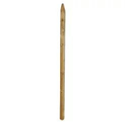 Castorama Piquet Pin Blooma ø6 X H.150 Cm